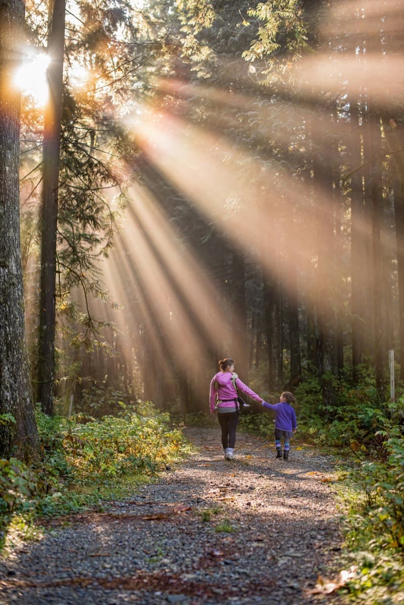 A mother and daughter walking hand-in-hand through sunlit woods